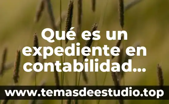 Qué es el pensamiento lógico matemático según autores 7 Qué es un expediente en contabilidad según autores