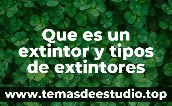 Que es un tipos de compuesto 8 Que es un extintor y tipos de extintores