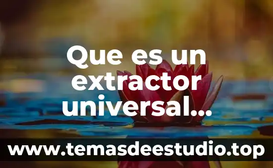 Para que es bueno la menta poleo 5 Que es un extractor universal mecanico