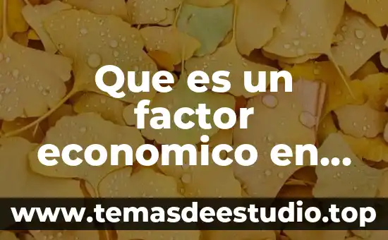 ¿Qué es el capital social de una organización? 5 Que es un factor economico en una organizacion