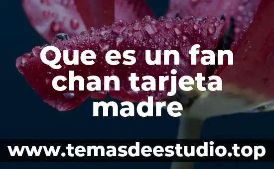 Que es nombre corto de la tarjeta liverpool 4 Que es un fan chan tarjeta madre