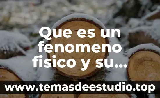 Que es semejanza matematicas clasificacion 6 Que es un fenomeno fisico y su clasificacion