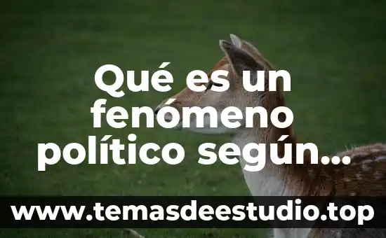Que es la sociologia de la historia 3 Qué es un fenómeno político según la sociología