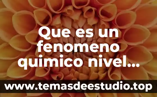 Que es un fenomeno quimico nivel secundaria