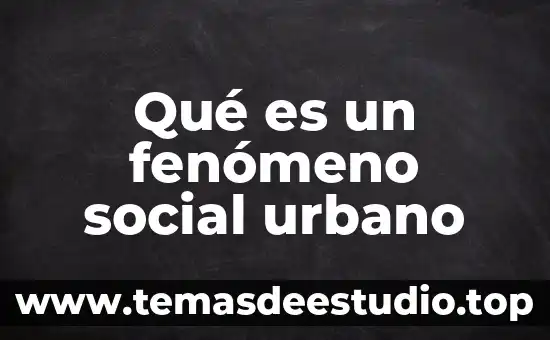 Que es movimiento social relacionado al derecho 6 Qué es un fenómeno social urbano