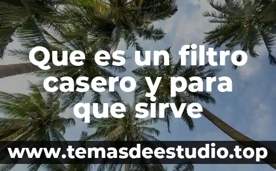 Que es bueno para ardor estomacal en remedio casero 5 Que es un filtro casero y para que sirve