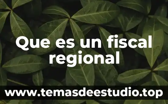 Que es historia regional yahoo 4 Que es un fiscal regional