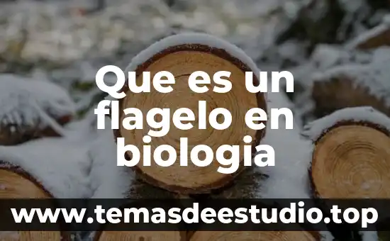Que es un flagelo en biologia