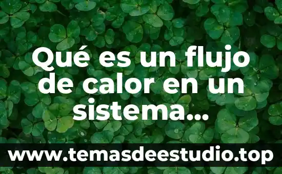 Qué es un flujo de calor en un sistema térmico