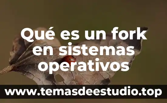 Qué es mqu sistemas de media existen 3 Qué es un fork en sistemas operativos