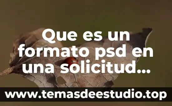 Que es el formato de r1 shcp 8 Que es un formato psd en una solicitud de empleo