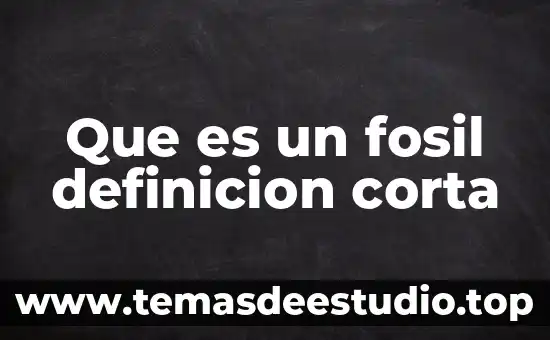 Qué es el páncreas definición corta 7 Que es un fosil definicion corta