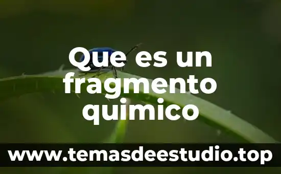 Qué es el miniequivalente químico 7 Que es un fragmento quimico