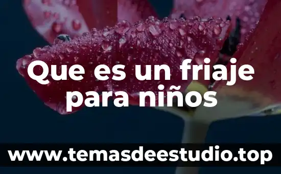 Que es educacion concepto para niños 3 Que es un friaje para niños
