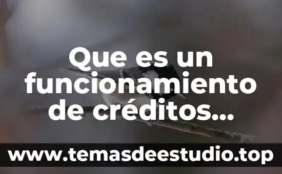 Que es un funcionamiento de créditos hipotecarios