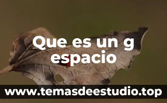 Void show grid graphics g para que es 4 Que es un g espacio
