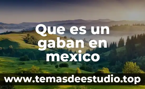 Que es lmesm en mexico 7 Que es un gaban en mexico