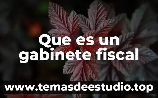 Que es una figura fiscal 5 Que es un gabinete fiscal