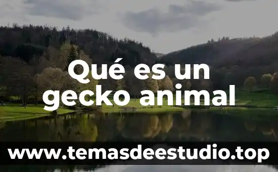 Que es un animal llamado arlomo 3 Qué es un gecko animal