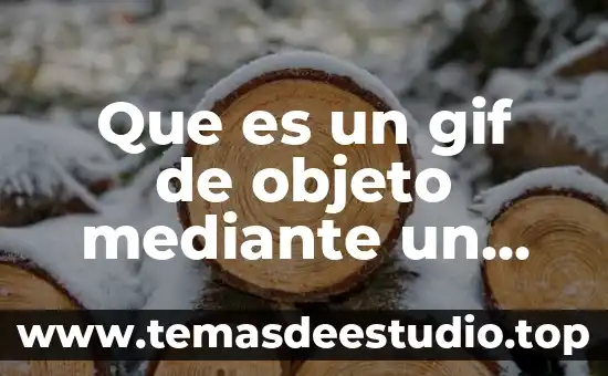 Que es un gif de objeto mediante un sower