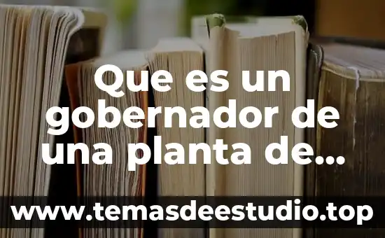 Qué es una hoja de planta 6 Que es un gobernador de una planta de emergencia
