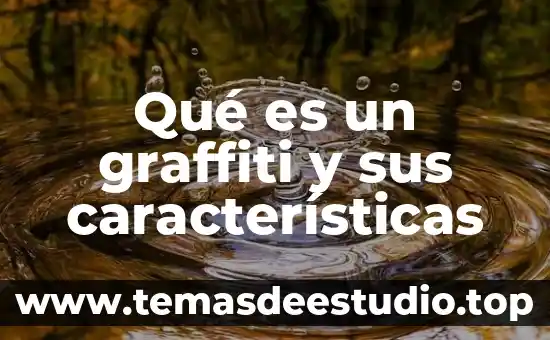 Qué es un graffiti y sus características