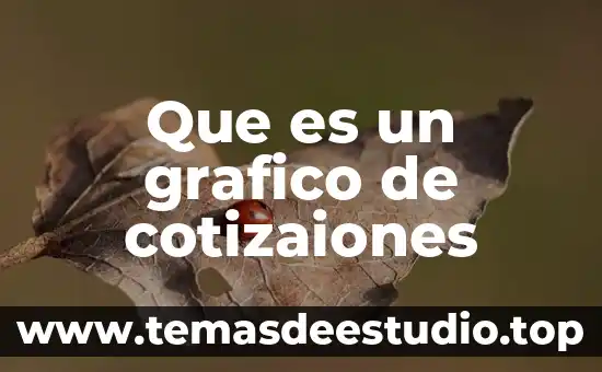 Que es un grafico de cotizaiones