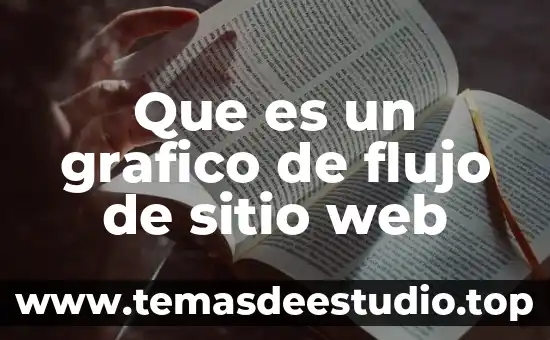 Investigar que es la metodología de planificación del sitio arquitectura 8 Que es un grafico de flujo de sitio web