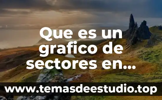 Que es una firma digital en exel 3 Que es un grafico de sectores en exel