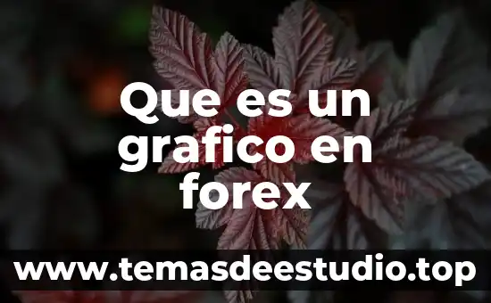 Que es el abecedario grafico 5 Que es un grafico en forex