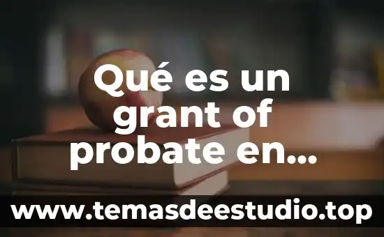 A state of trance que es 8 Qué es un grant of probate en México