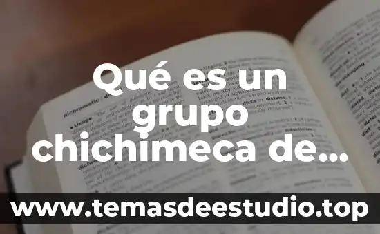 Qué es un grupo chichimeca de la cultura indio