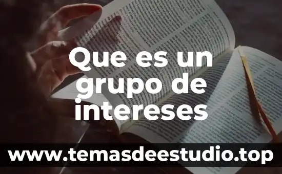 Que es concepto intereses en derecho mercantil 6 Que es un grupo de intereses