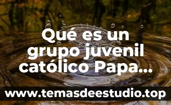 Qué es un grupo juvenil católico Papa Francisco