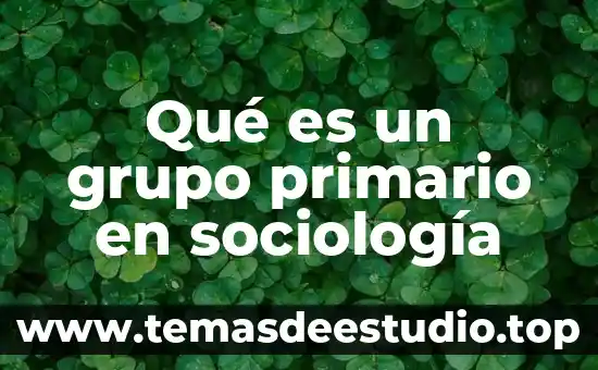 Que es la familia desde la sociologia 3 Qué es un grupo primario en sociología