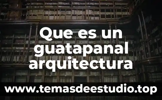 Que es una organizacion centralizada arquitectura 7 Que es un guatapanal arquitectura