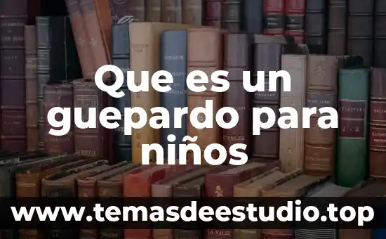 Que es el sol para niños de primero de primaria 3 Que es un guepardo para niños
