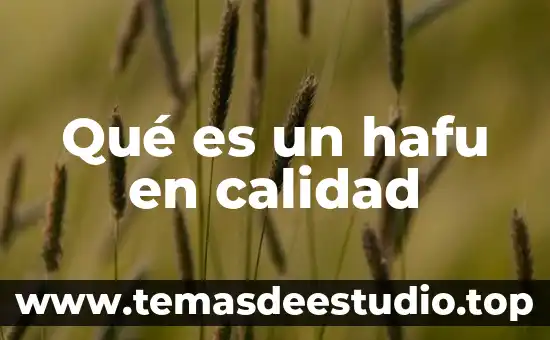Que es mrb en calidad 8 Qué es un hafu en calidad