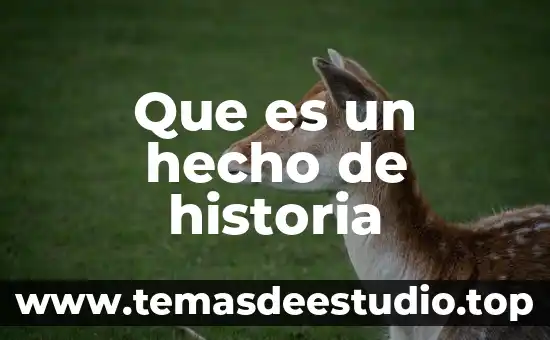 Qué es la arquitectura monolítica en software 3 Que es un hecho de historia