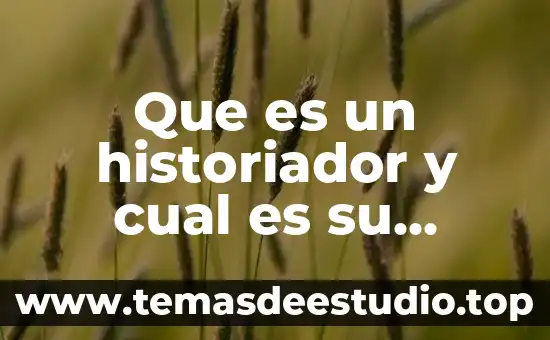 Que es el sistema límbico y cual es su funcion 8 Que es un historiador y cual es su función