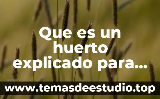 Que es un huerto explicado para niños