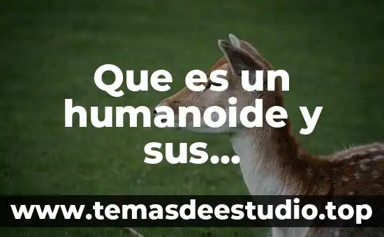 Qué es una artesanía y sus características 5 Que es un humanoide y sus caracteristicas