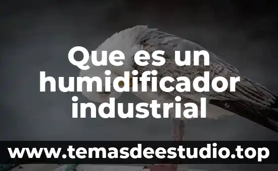 Qué es patrimonio cultural y cómo se clasifica 3 Que es un humidificador industrial