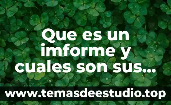 Que es un imforme y cuales son sus estruturas