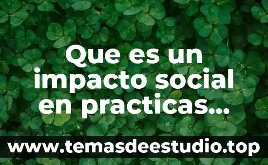 Que es estructura organizacional dinamica social 7 Que es un impacto social en practicas profesionales