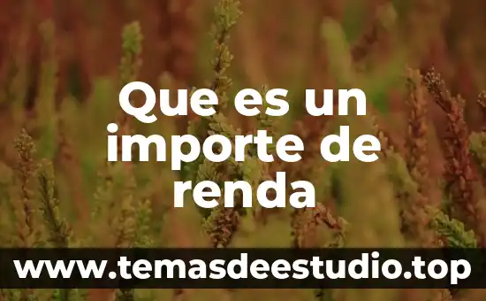 Que es un importe de renda