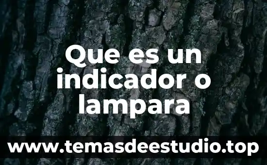 Qué es las funciones del lenguaje lógica 4 Que es un indicador o lampara