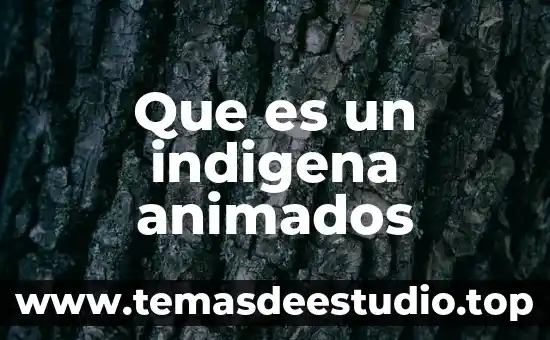 Que es un indigena animados