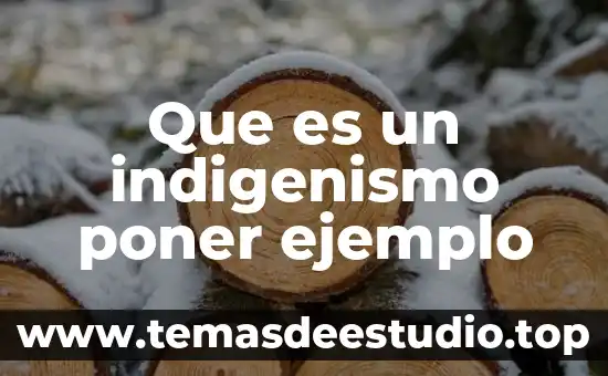 Que es nombre de vialidad ejemplo 4 Que es un indigenismo poner ejemplo