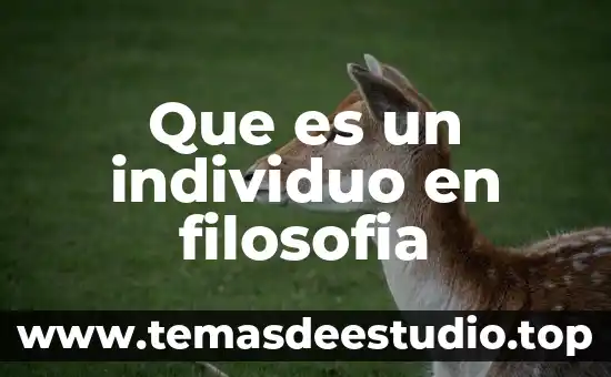 Que es un individuo en filosofia